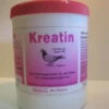 Hesanol Kreatin 250g