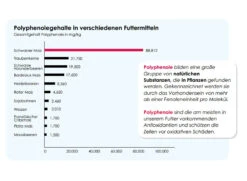 Versele Master Diät Relax 20kg -Heimtierbedarf antioxidantien 13