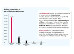 Versele Master Diät Relax 20kg -Heimtierbedarf antioxidantien 23