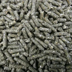 Berkel Chinchilla-Gold-KR 25kg