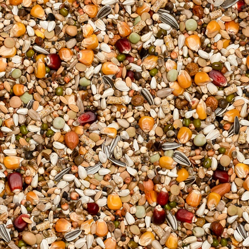 Beyers Premium Jelle Jellema Power 20kg 1 Beyers Premium Jelle Jellema Power 20kg