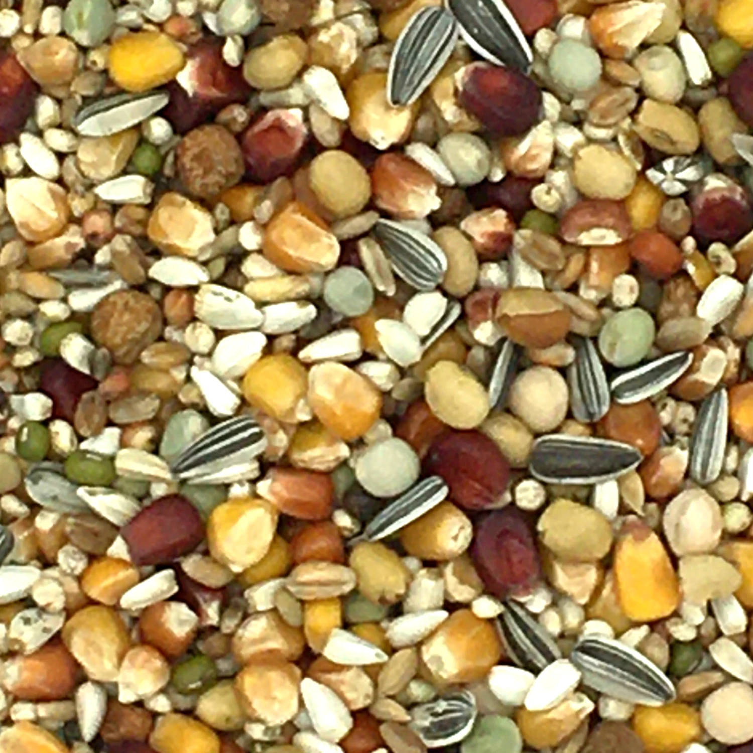 Beyers Galaxy Long Distance TT 20kg 1 Beyers Galaxy Long Distance TT 20kg