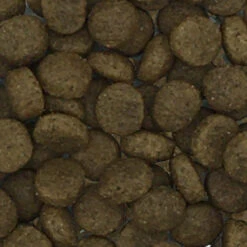 Gladen Lamm & Kartoffel 2er-Pack 30kg