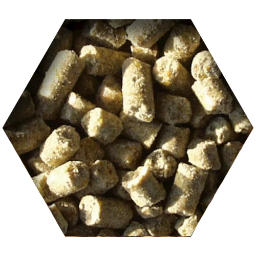 Beyers Goldcorn Koopman 2,5kg 2 Beyers Goldcorn Koopman 2,5kg – Bild 2