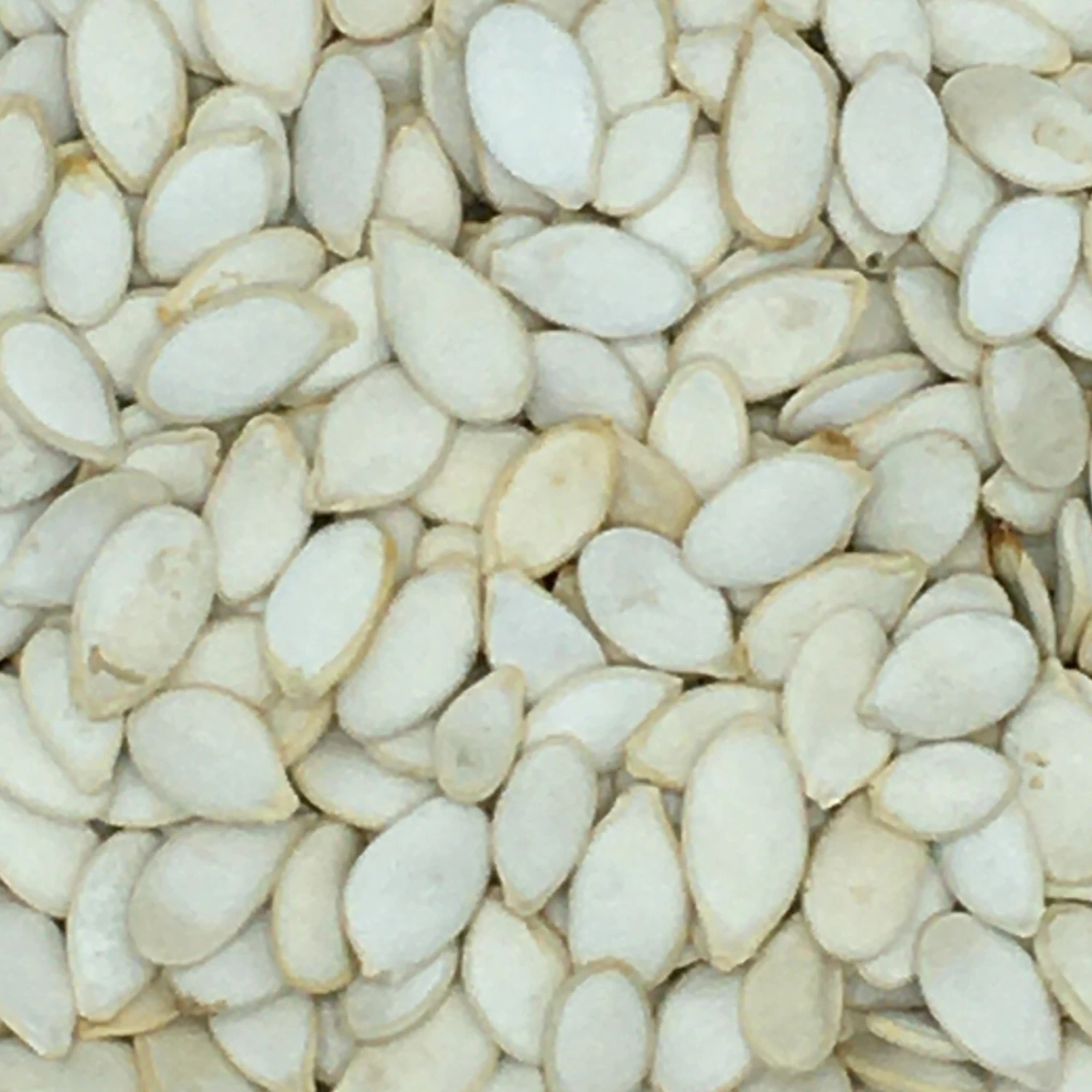 Kürbiskerne Weiß - Gladen 2,5kg 1 Kürbiskerne Weiß - Gladen 2,5kg