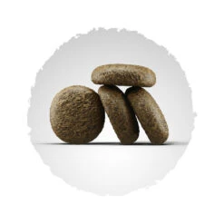 Titelseite -Heimtierbedarf kroketten lachs and kartoffel