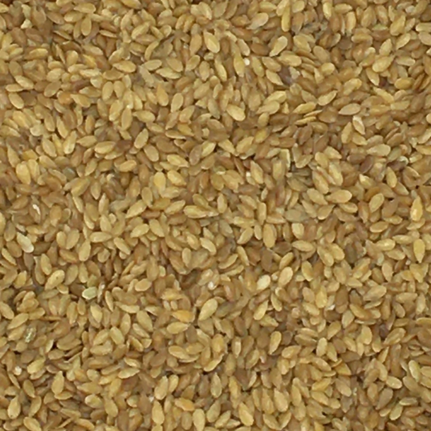 Leinsamen Gelb - Vanrobaeys 25kg