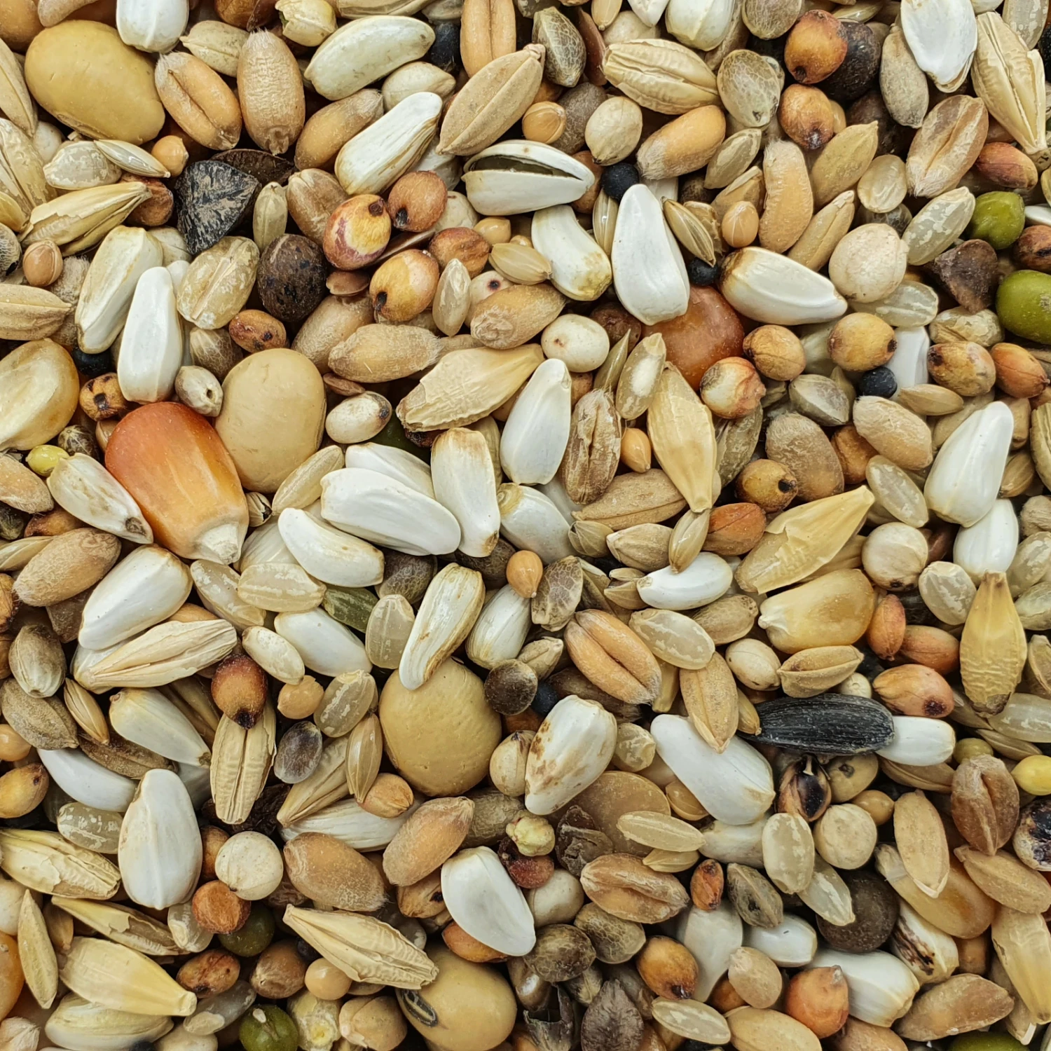 Matador Premium Super Start 25kg 1 Matador Premium Super Start 25kg