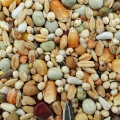 Spinne Zucht- & Reise Forte 25kg