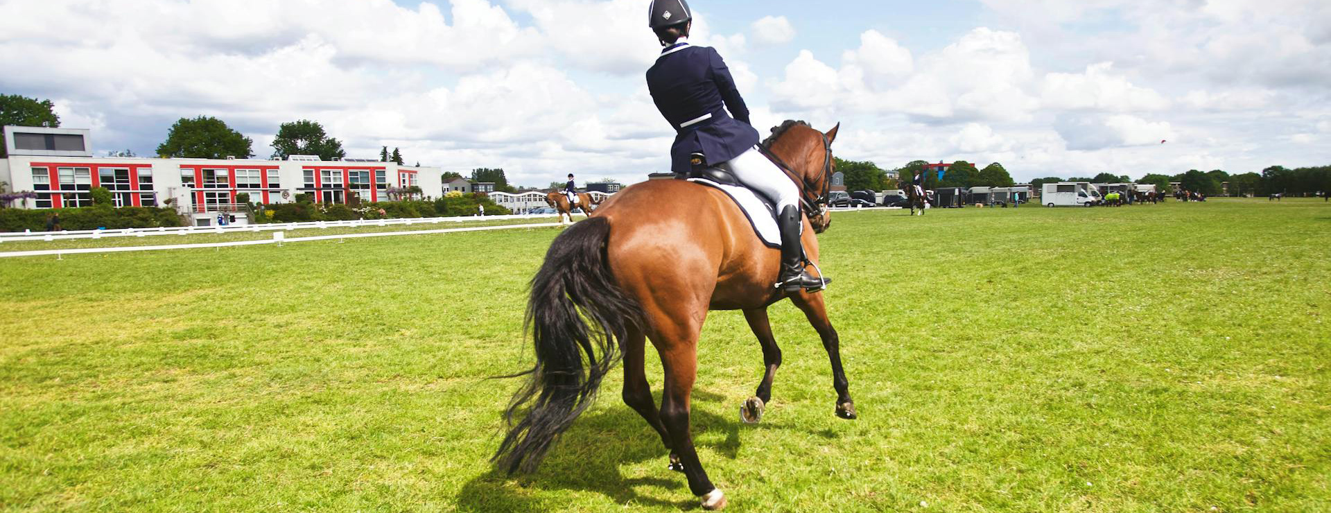 Titelseite -Heimtierbedarf pexels matthiaszomer 97587