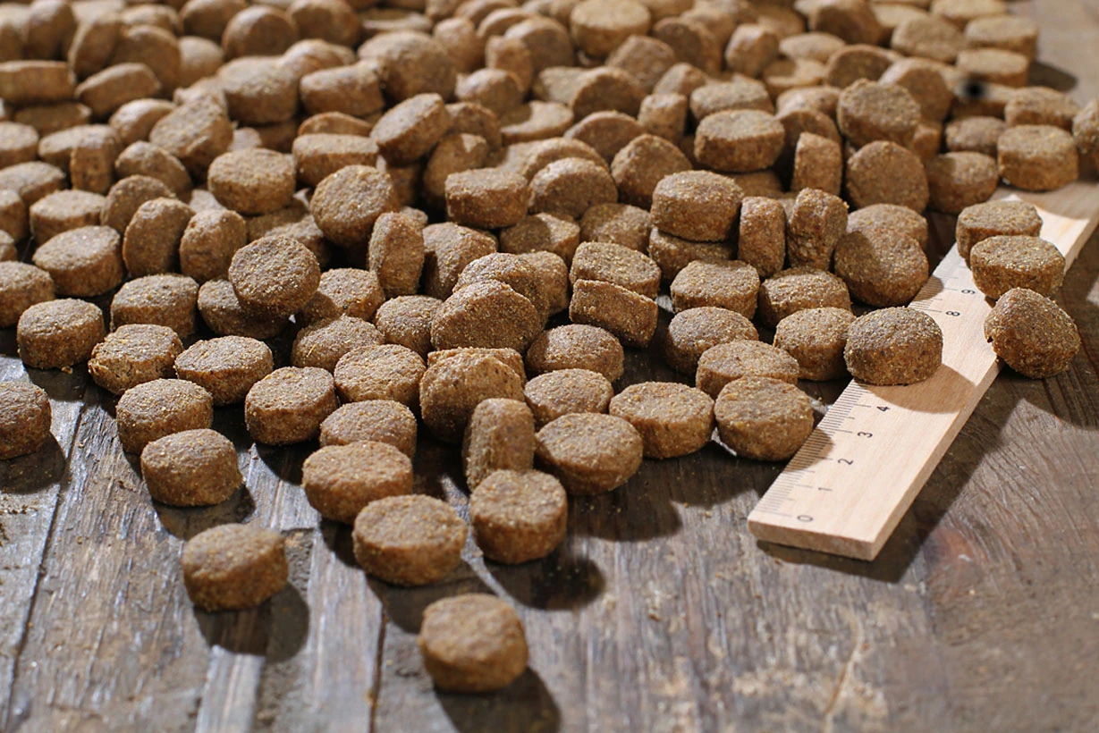 Bewi Dog Basic 25kg 3 Bewi Dog Basic 25kg – Bild 3