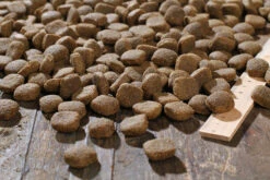 Bewi Dog Sport 25kg -Heimtierbedarf rs2909 sport kroketten lineal img 1786b klein