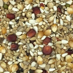 Vanrobaeys Nr.523 Platteeuw Spezial 20kg