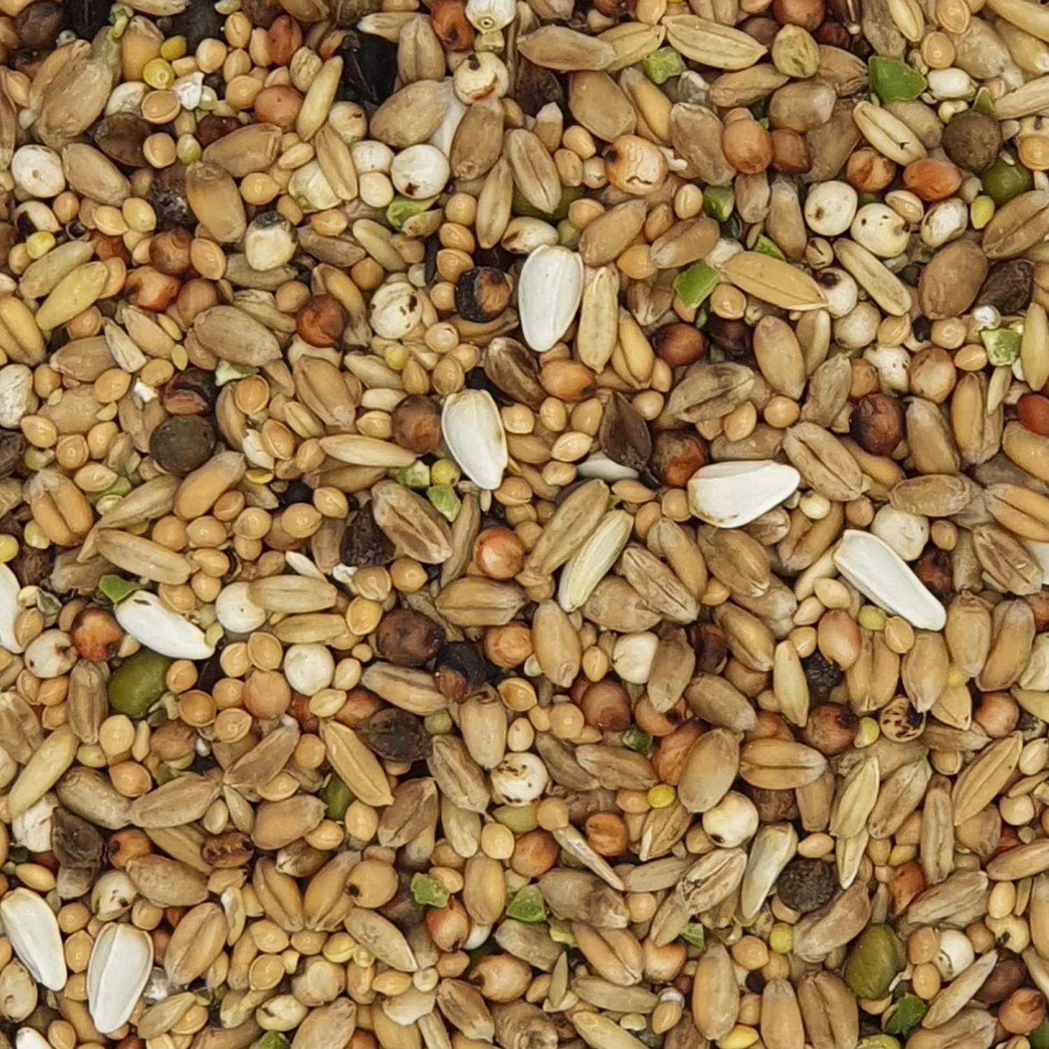 Versele Turteltaubenfutter Prestige 20kg 1 Versele Turteltaubenfutter Prestige 20kg